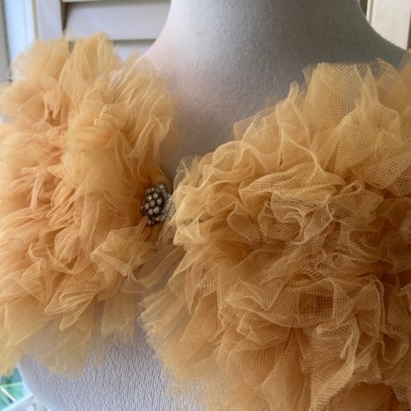 Vintage Accessories - Vintage Tulle Wrap